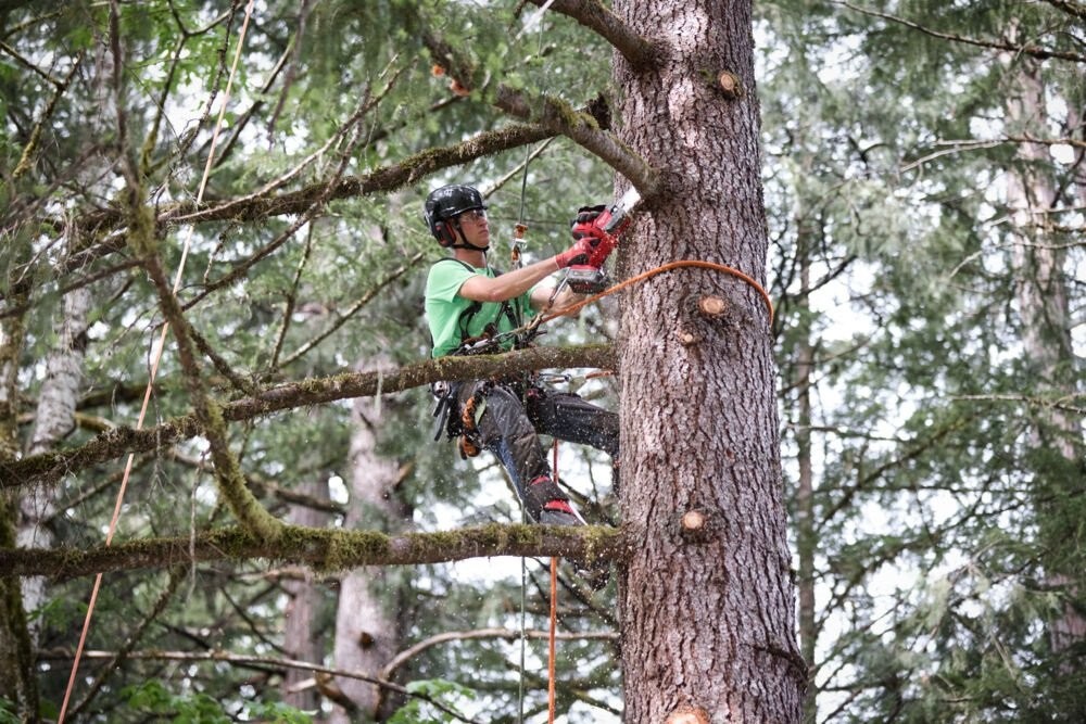 milwaukee_m18fhs20-0_hatchet_pruning_saw_power_tools_uk_0223_5_1